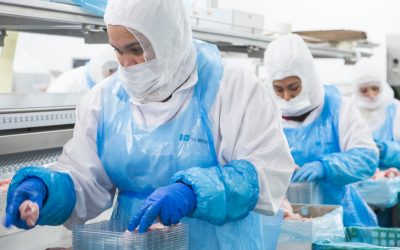La importancia del trabajo temporal en la industria cárnica